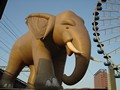 Olifant